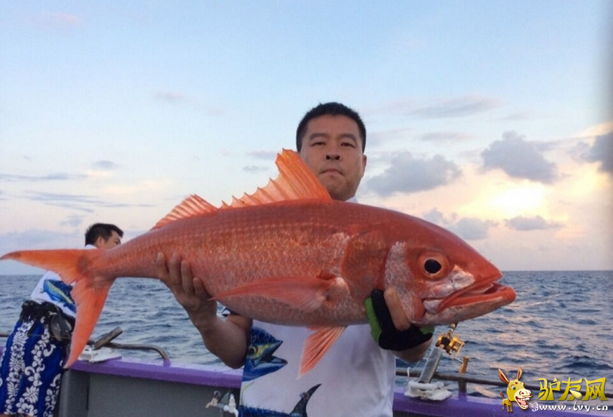 QQ截图20160506094011.png